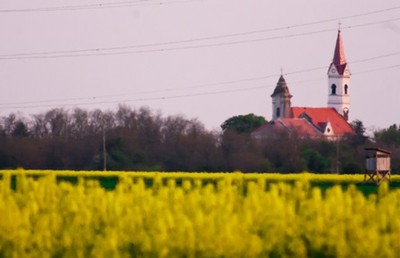02.jpg - small